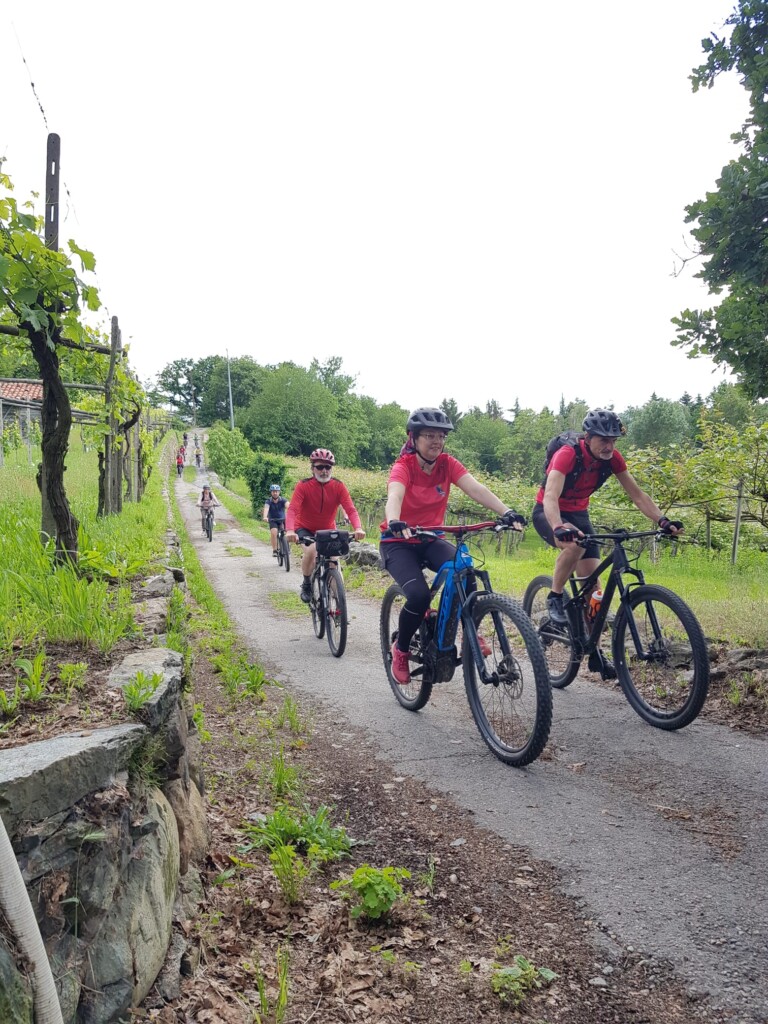winetour 10giugno 3 768x1024