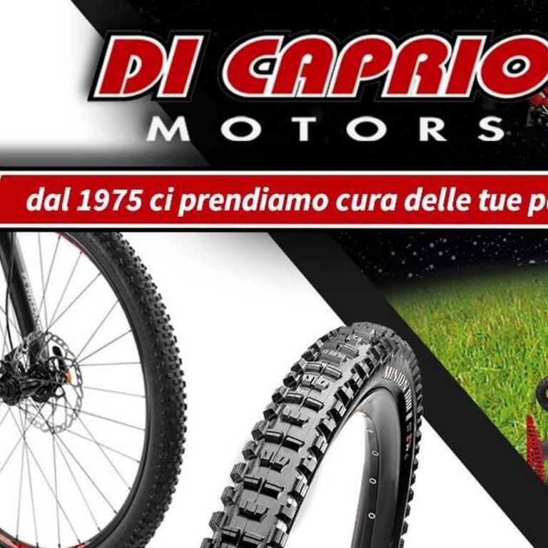 Di Caprio Motors Divisione Due Ruote 2 768x768