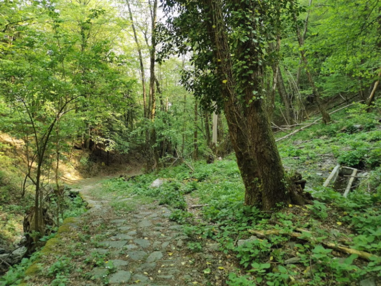 bike tour dreamtrails4 768x576