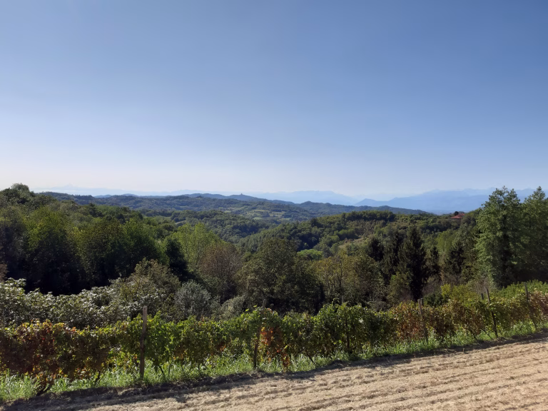 casalborgone1 1 768x576