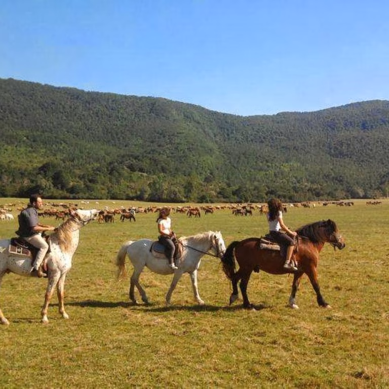 Ranch Brionna 0 1 768x768