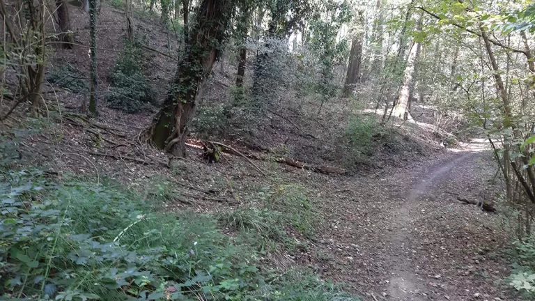 bosco monferrato 768x432