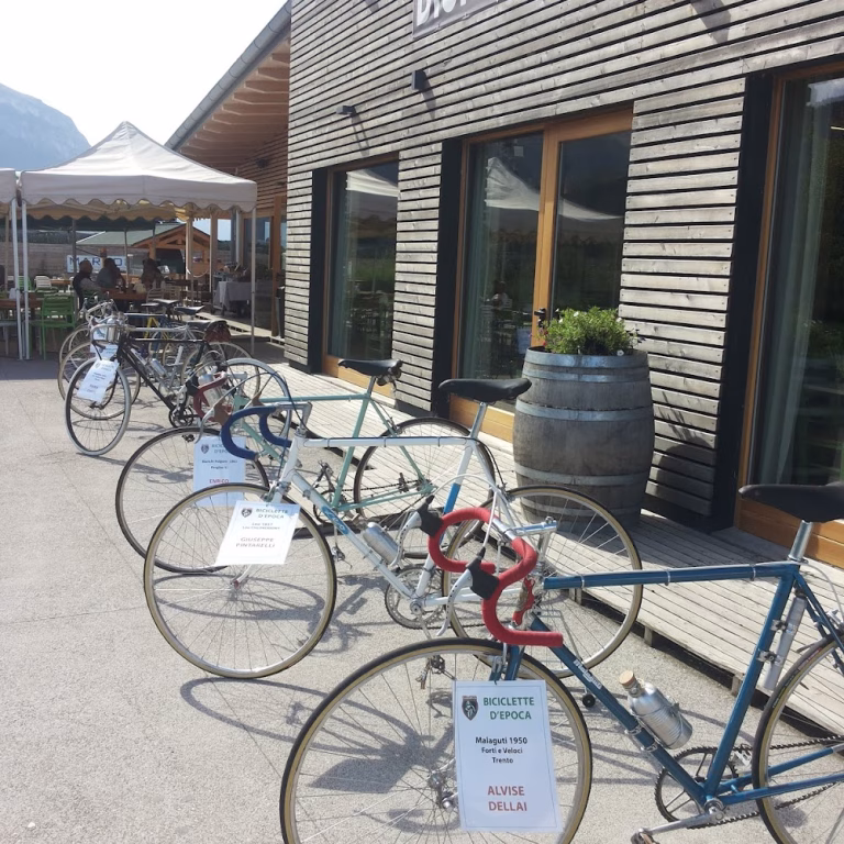 Bici Grill Trento 0 3 768x768