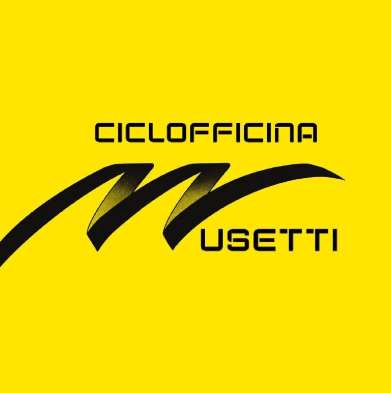 inbound6413559871329101354 768x772