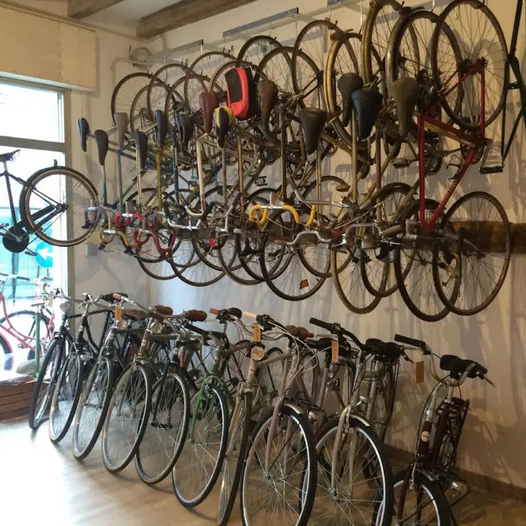 BOLOGNINA BIKE SHOP 0 768x768