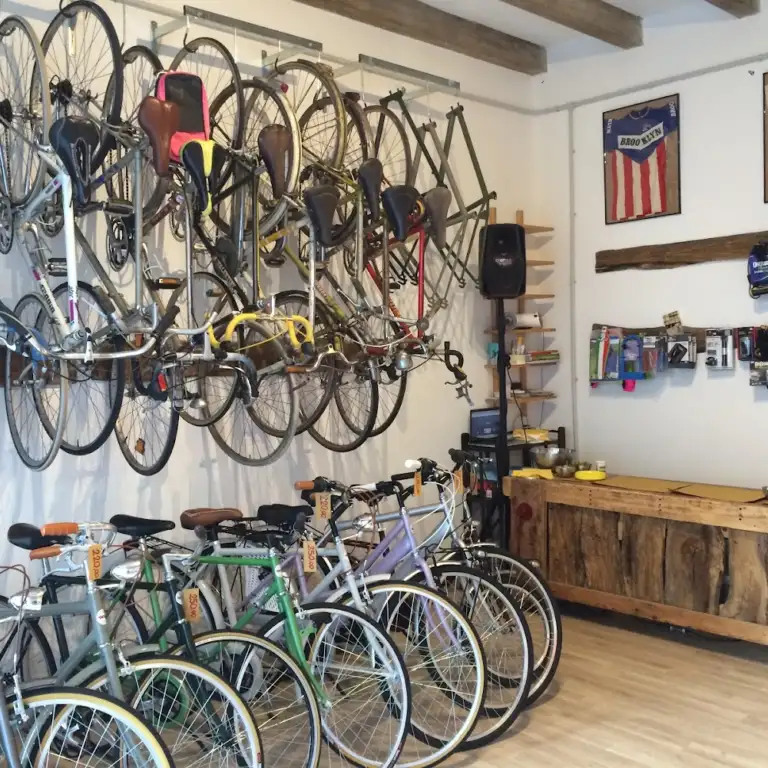 BOLOGNINA BIKE SHOP 3 768x768