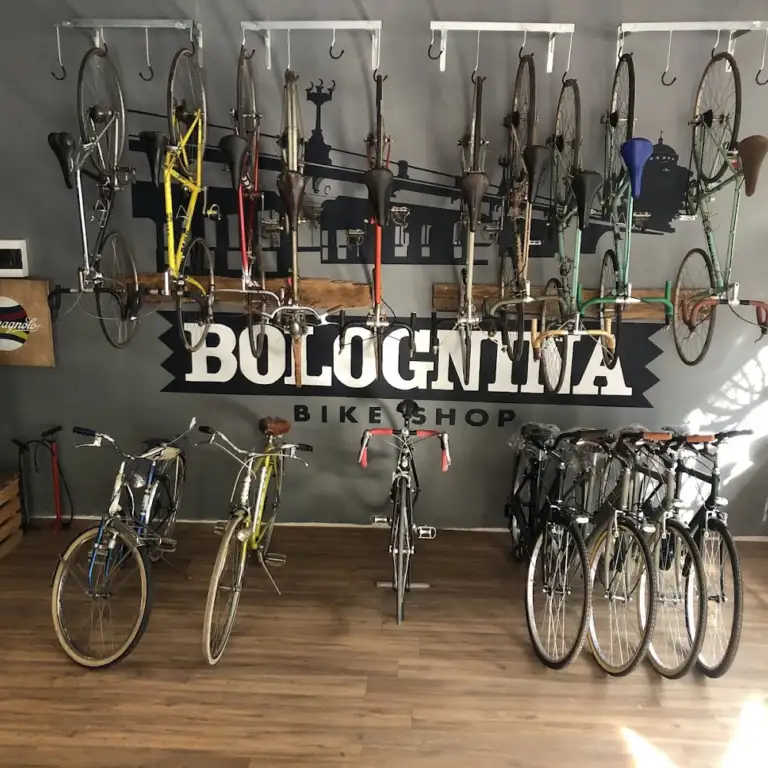 BOLOGNINA BIKE SHOP 4 768x768