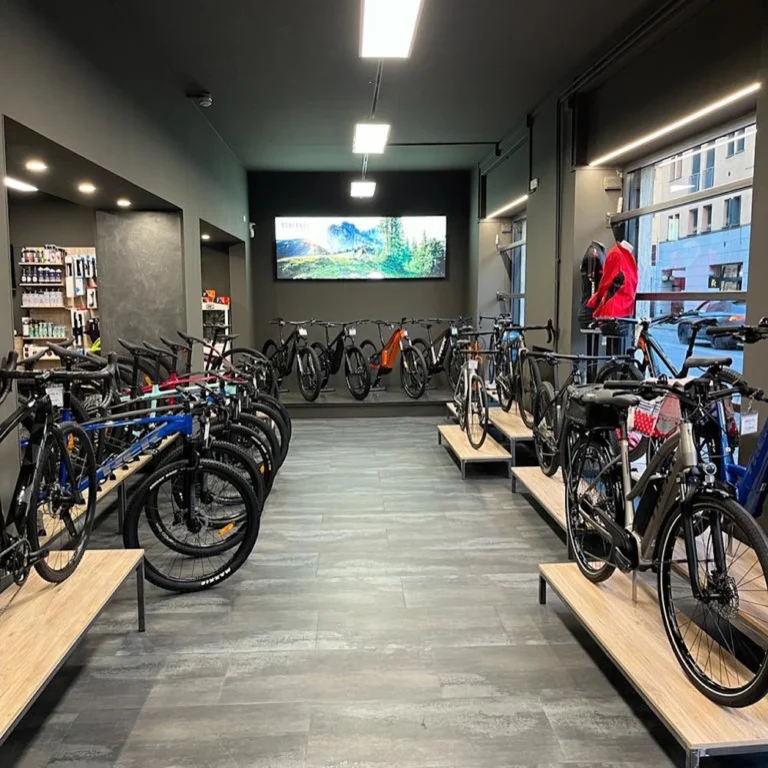 Cicli Bonfanti 0 2 768x768