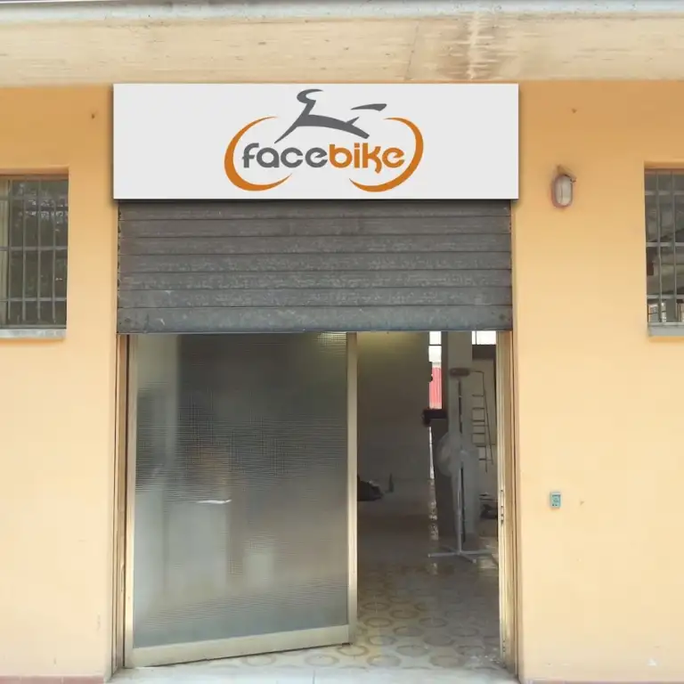 Facebike di Malavasi Mirco  C. SAS 0 768x768