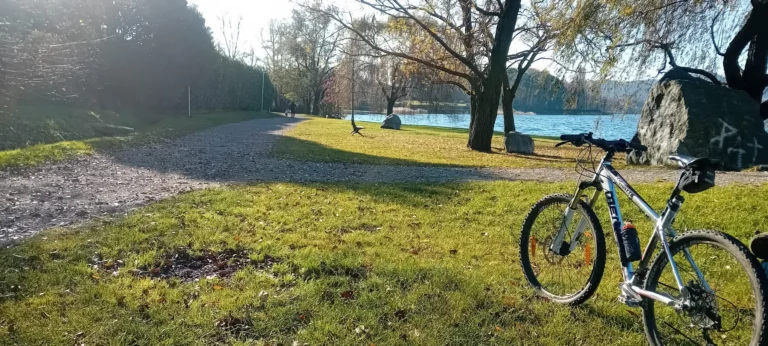 Immagine WhatsApp 2024 12 02 ore 19.15.23 ba7ea592 768x346