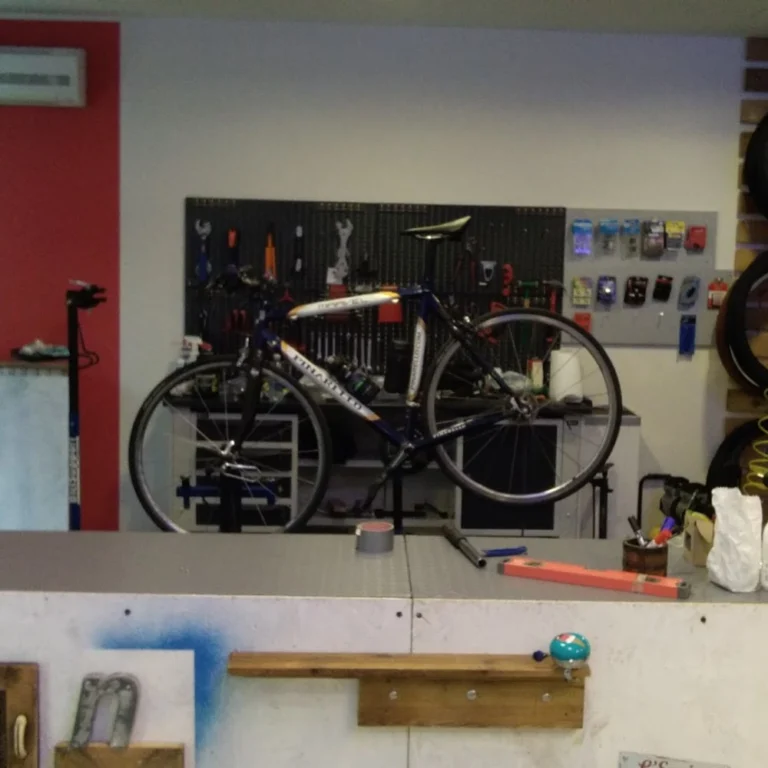 Labo Bike 0 5 768x768