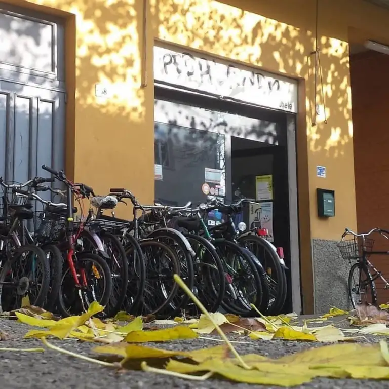 Pedalando di Massa Michele 0 768x768