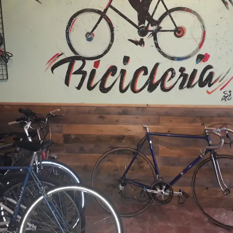 Bicicleria 0 768x768