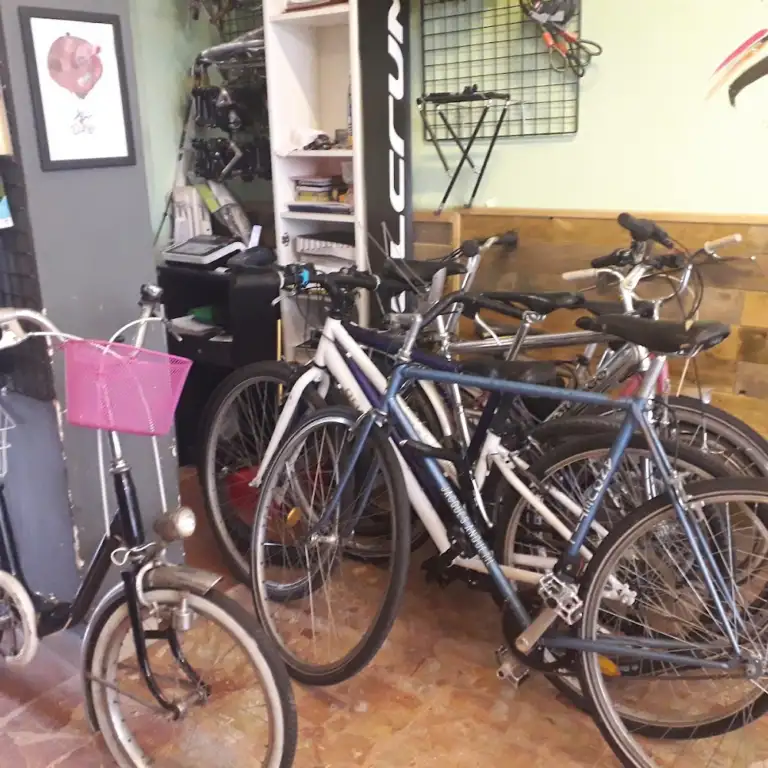 Bicicleria 1 768x768