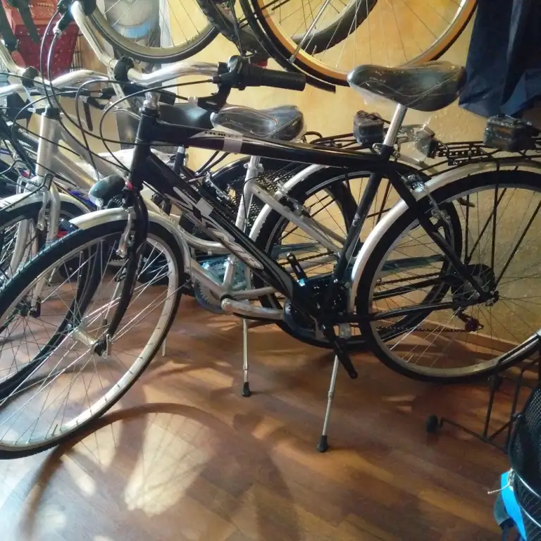 Ecoobike 1 768x768
