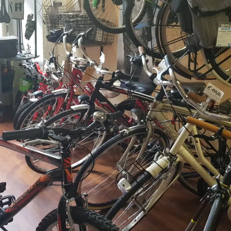 Ecoobike 3 768x768