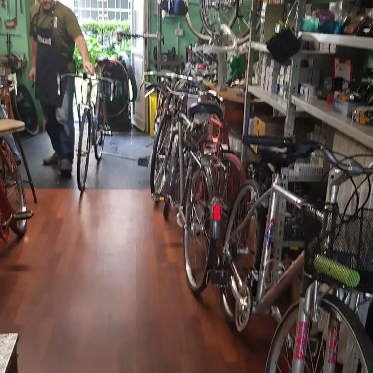 Ecoobike 4 768x768