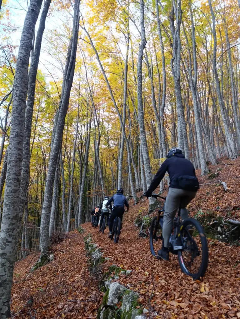bike park bocca di valle 2 768x1021