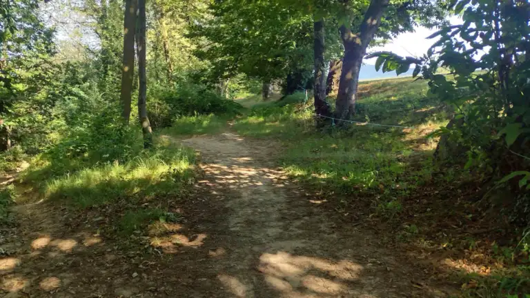 1 768x432
