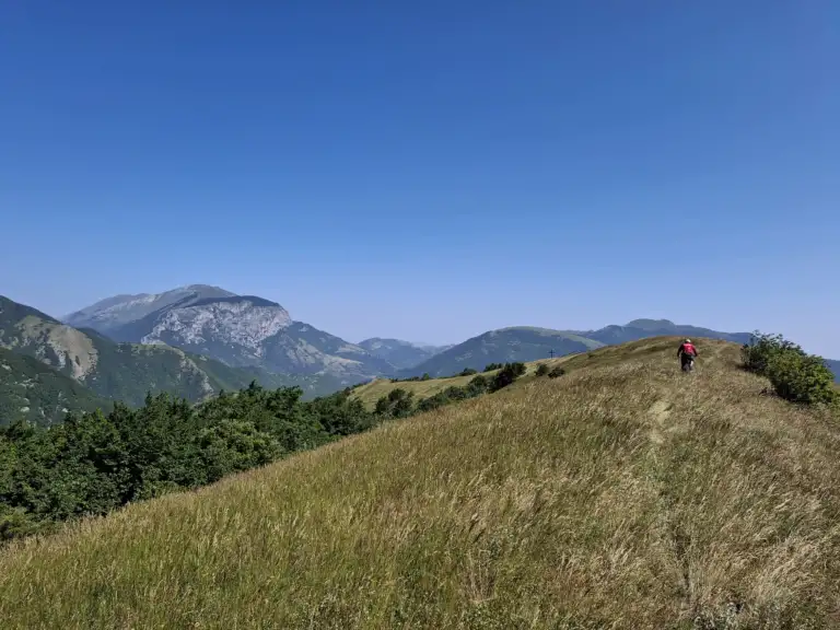 20250608 102243 768x576