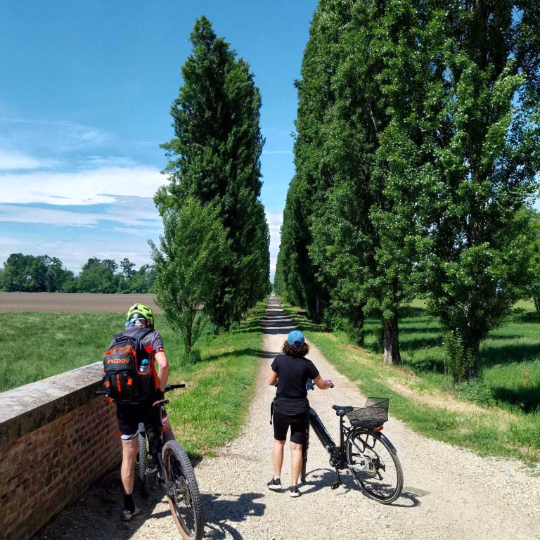 La Via delle Cascine 768x768