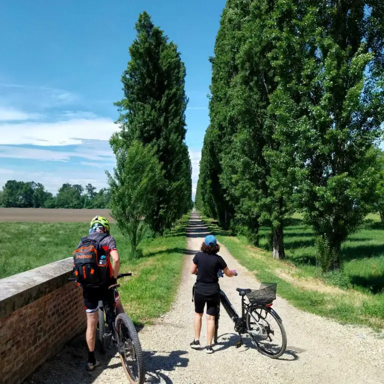 La Via delle Cascine 768x768