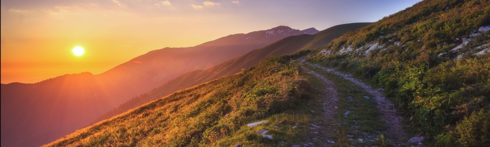 User banner image