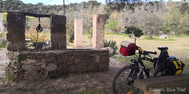Bicicletta pozzo secchio alberi verde supersano 768x384