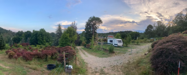 Piantaroej Agricampeggio 768x308
