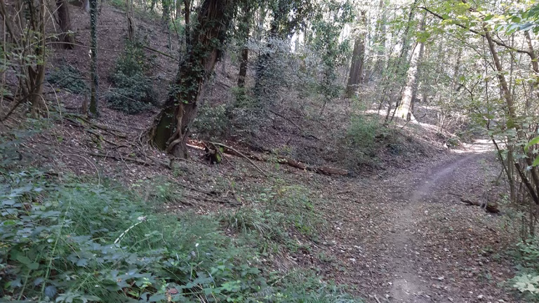 bosco monferrato 768x432