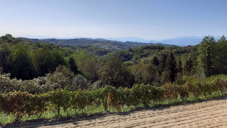casalborgone 768x432