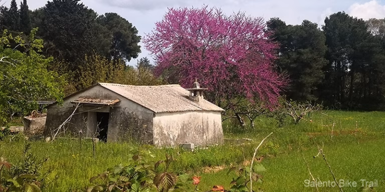 casetta mandorlo fiori alberi comignolo scorrano 768x384
