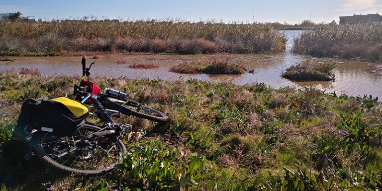 palude bicicletta idume foce 768x384