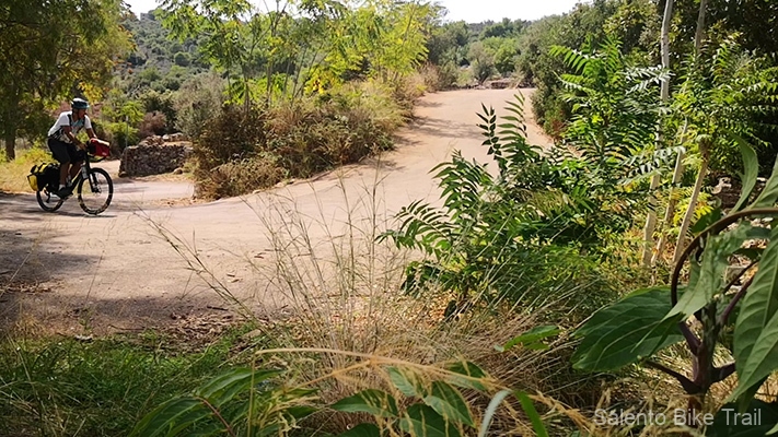 salita tornante ciclista vegetazione specchia