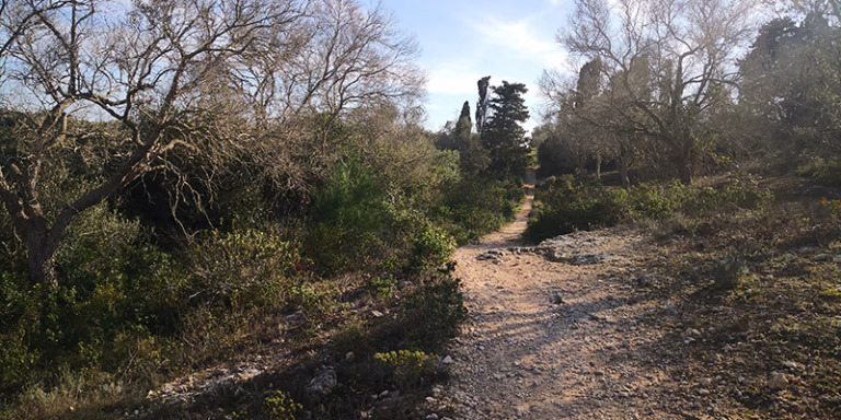 sentiero natura vegetazione cielo alimini grande 768x384