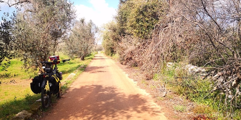 sentiero sterrato bici sole ulivi specchia gallone minervino 768x384
