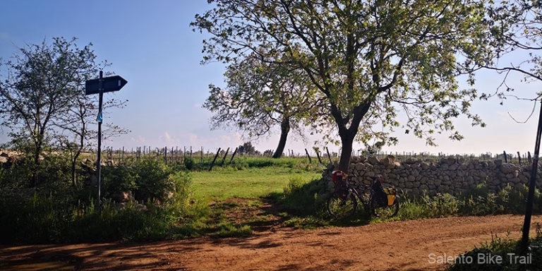 sentiero terra rossa albero segnale cielo giurdignano 768x384