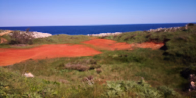 sfocato terra arancio verde mare cielo orte 768x384