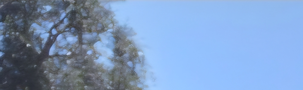 User banner image