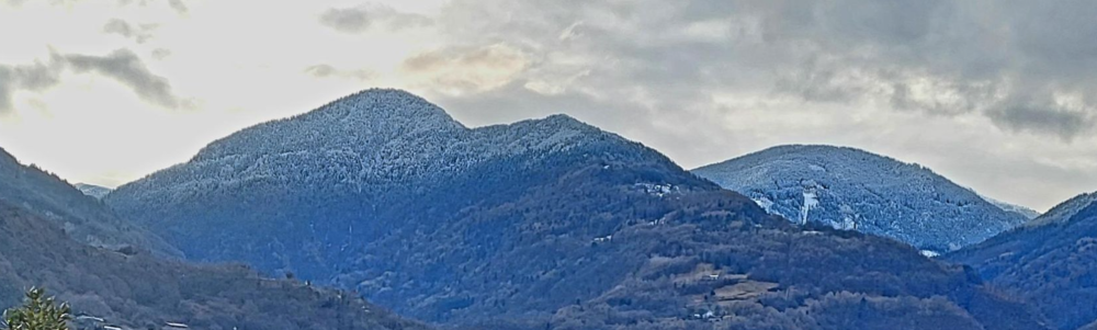 User banner image
