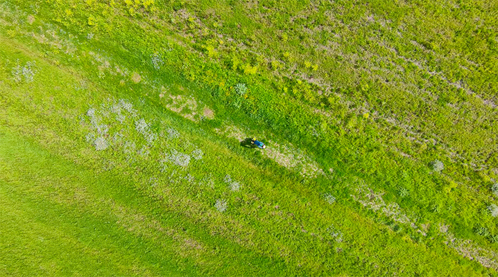 prato verde alto ciclista fiori arneo