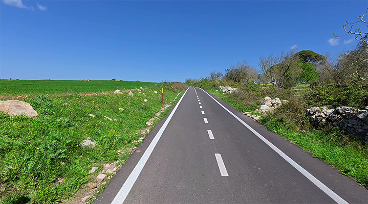 strada ciclabile cielo azzurro vegetazione verde lecce