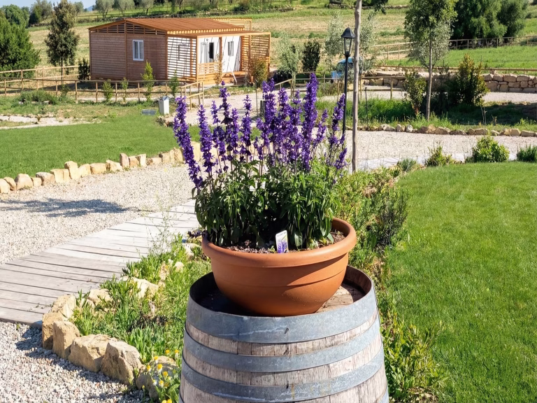 AGRITURISMO IN TOSCANA N.5 768x576