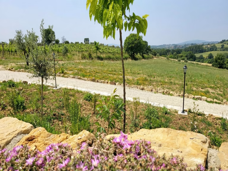CAMPAGNA TOSCANA N.9 768x576